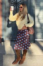Charlize Brown and Blue Polka Dot Midi Skirt Image