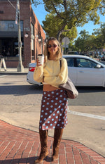 Charlize Brown and Blue Polka Dot Midi Skirt Image