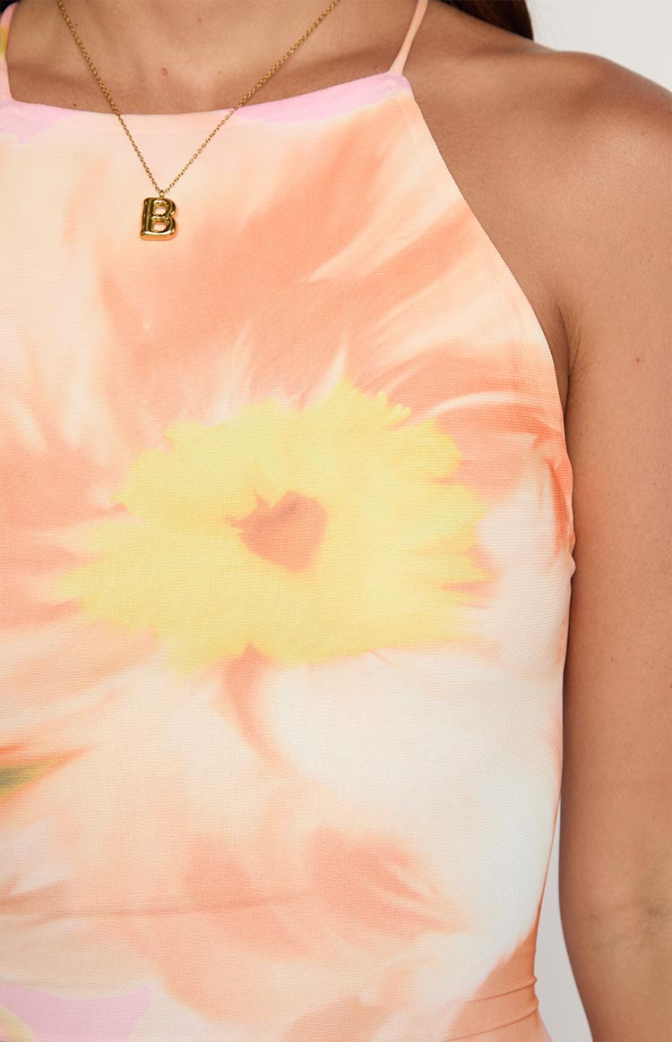 Ashton Pink Floral Kisses Maxi Dress Image