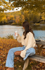 Belmont Cream Stripe Sweater Image