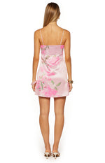 Chantell Pink and Green Floral Mini Dress Image