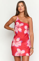 Hatley Red Crimson Paradise Mini Dress Image