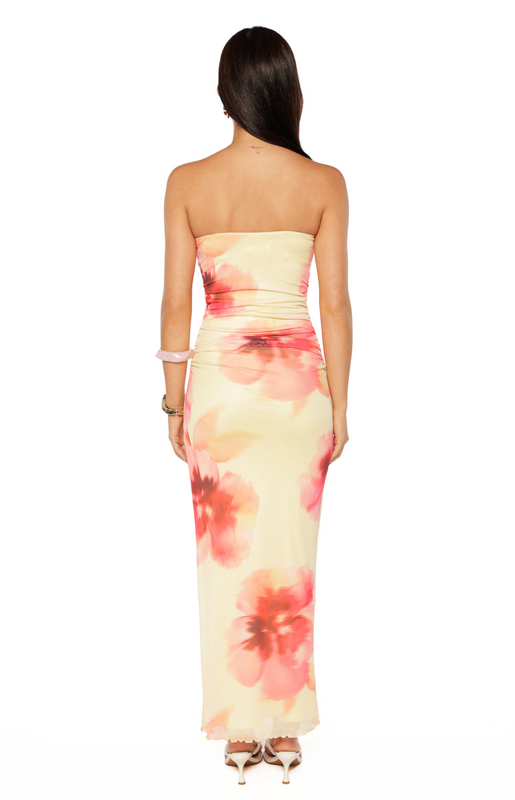 Imogen Yellow and Pink Floral Print Maxi Dress Image