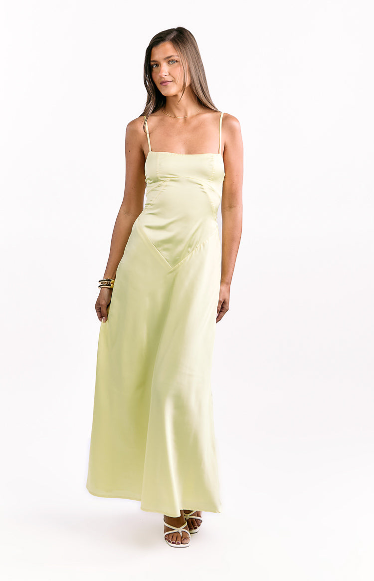 Joey Yellow Maxi Dress Image