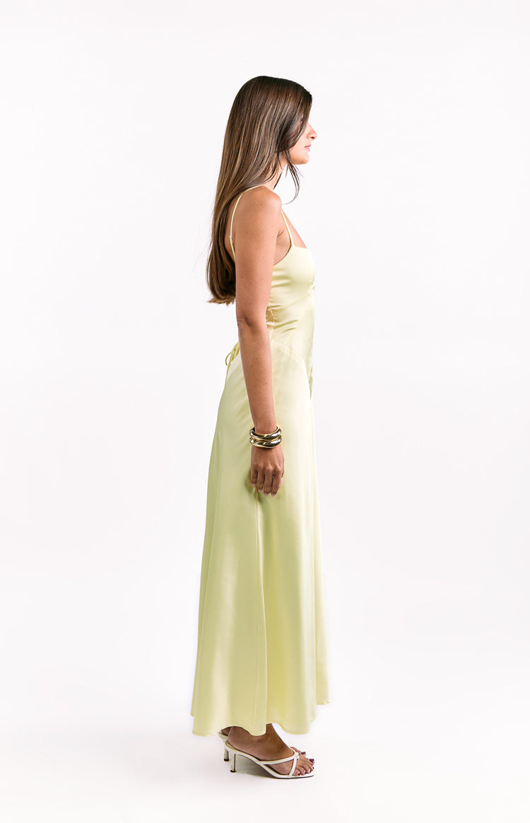 Joey Yellow Maxi Dress Image