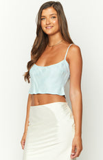 Milliana Blue Top Image