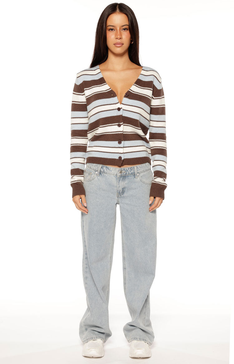 Misha Brown and Blue Stripe Button Down Cardigan Image