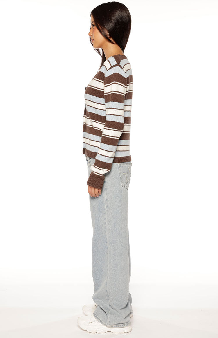 Misha Brown and Blue Stripe Button Down Cardigan Image