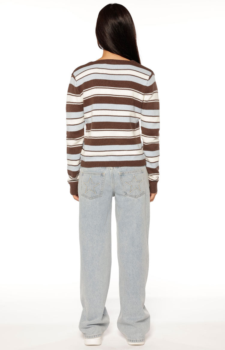 Misha Brown and Blue Stripe Button Down Cardigan Image