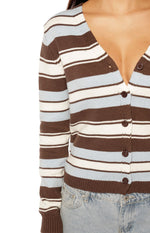 Misha Brown and Blue Stripe Button Down Cardigan Image