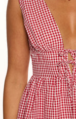 Saffron Red Gingham Tie Mini Dress Image