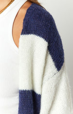 Thaddeus Blue And White Striped Knit Cardigan Image