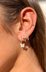 Tom Gold Butterfly Earring Pack Image