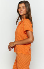 Zaida Orange Knit Top Image