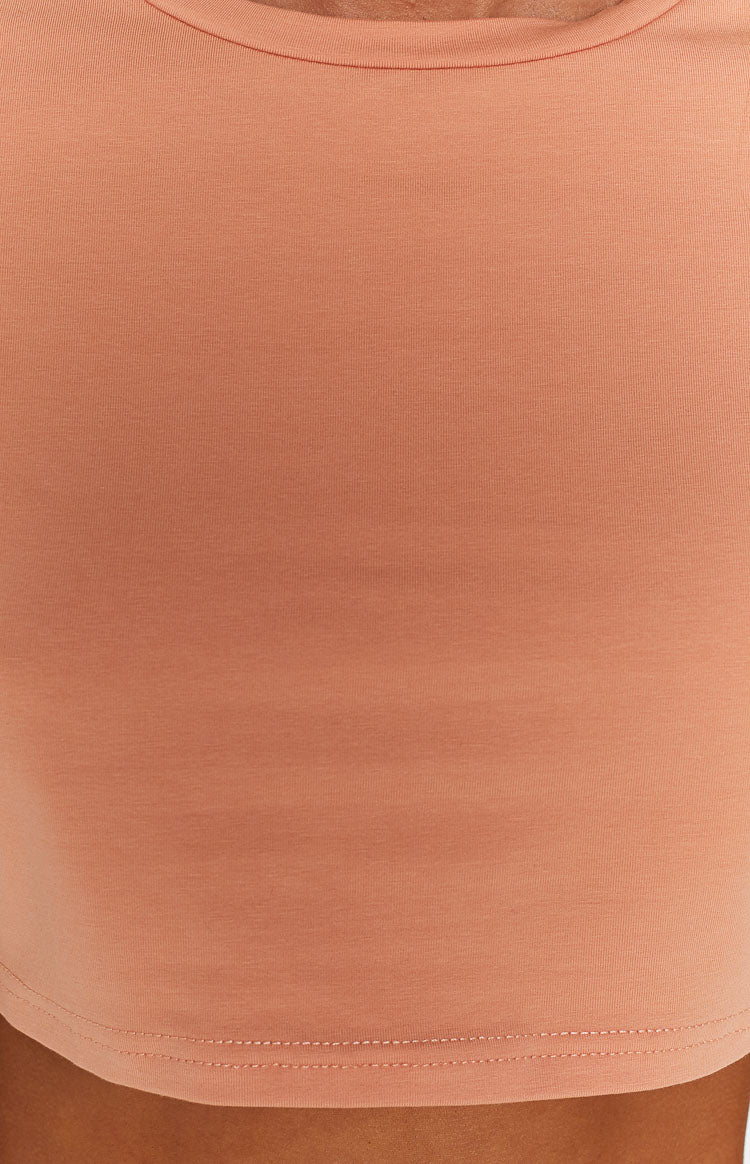 Chantal Rose Cropped Tee Image