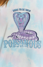 All or Nothing Dress Poison Cloud Image